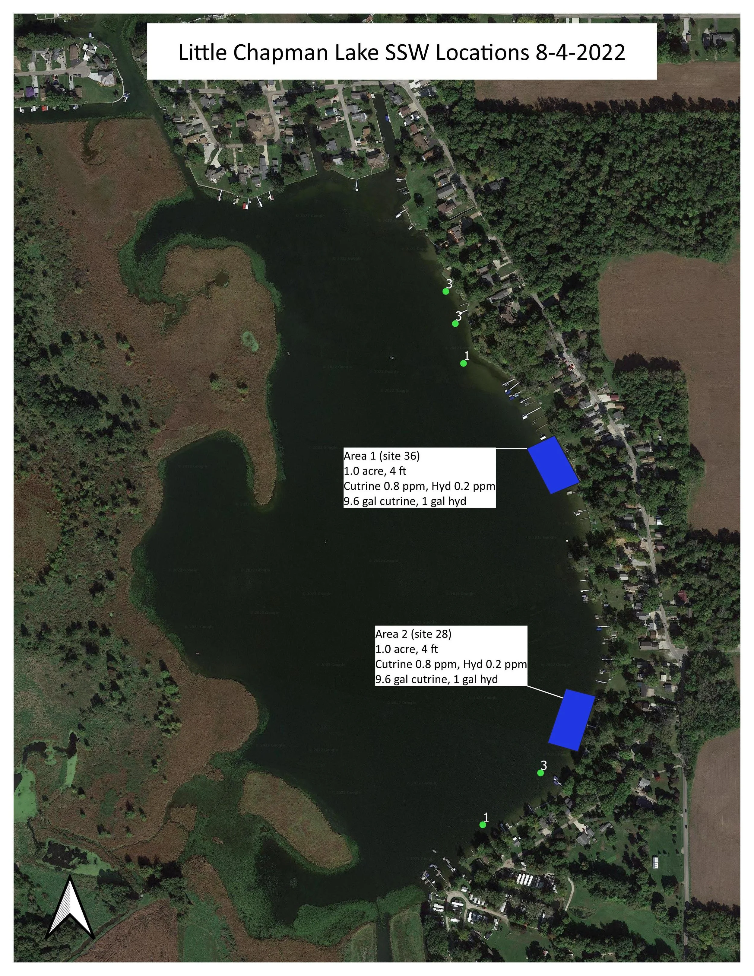 Chapman Lakes Conservation Association-Starry Stonewort
